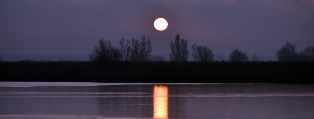 Volle Maan